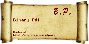 Bihary Pál névjegykártya